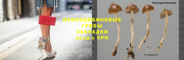 ALPHA PVP Алзамай
