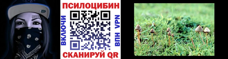 цены наркотик  Павлово  Псилоцибиновые грибы GOLDEN TEACHER 